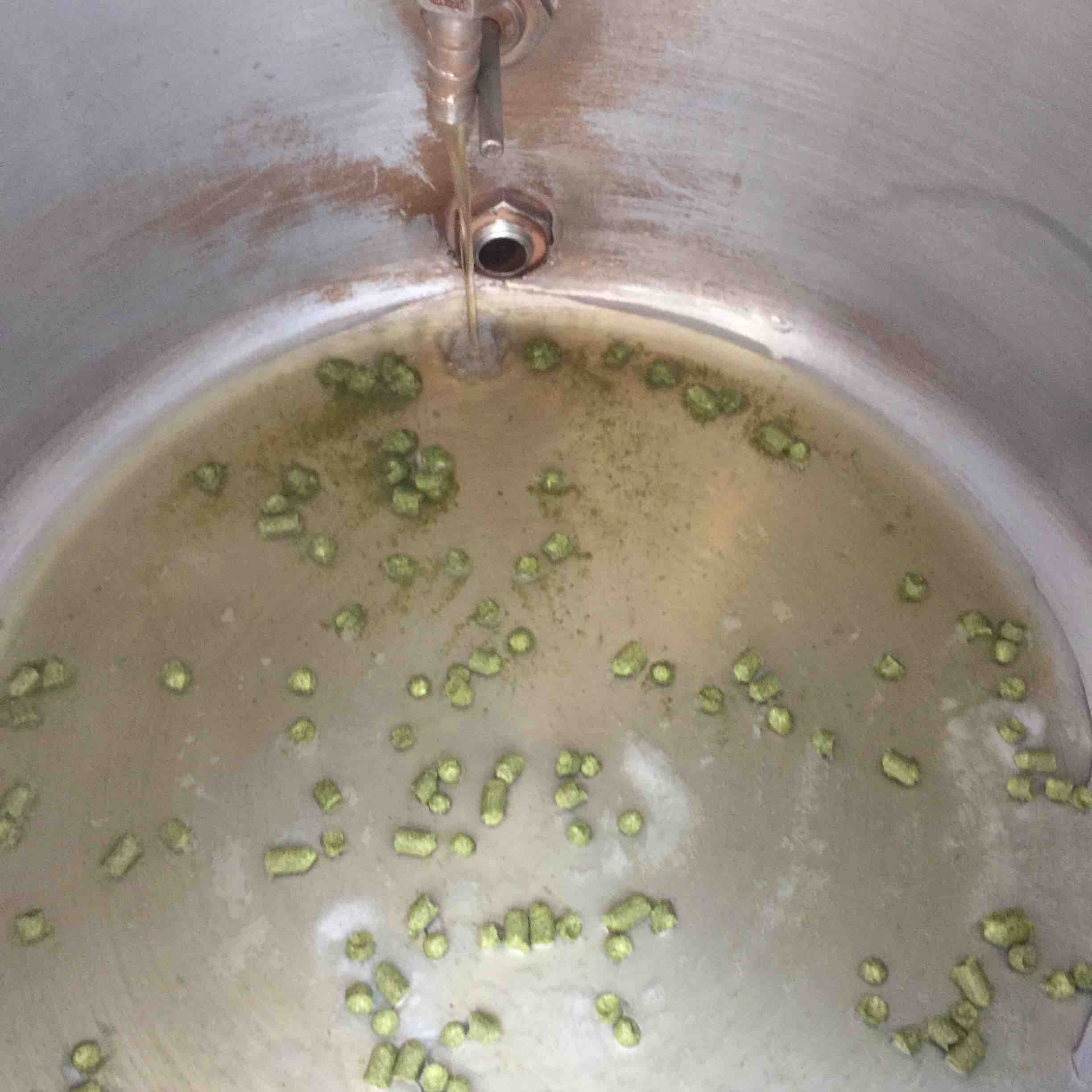 First Wort with clear runnnings.jpg