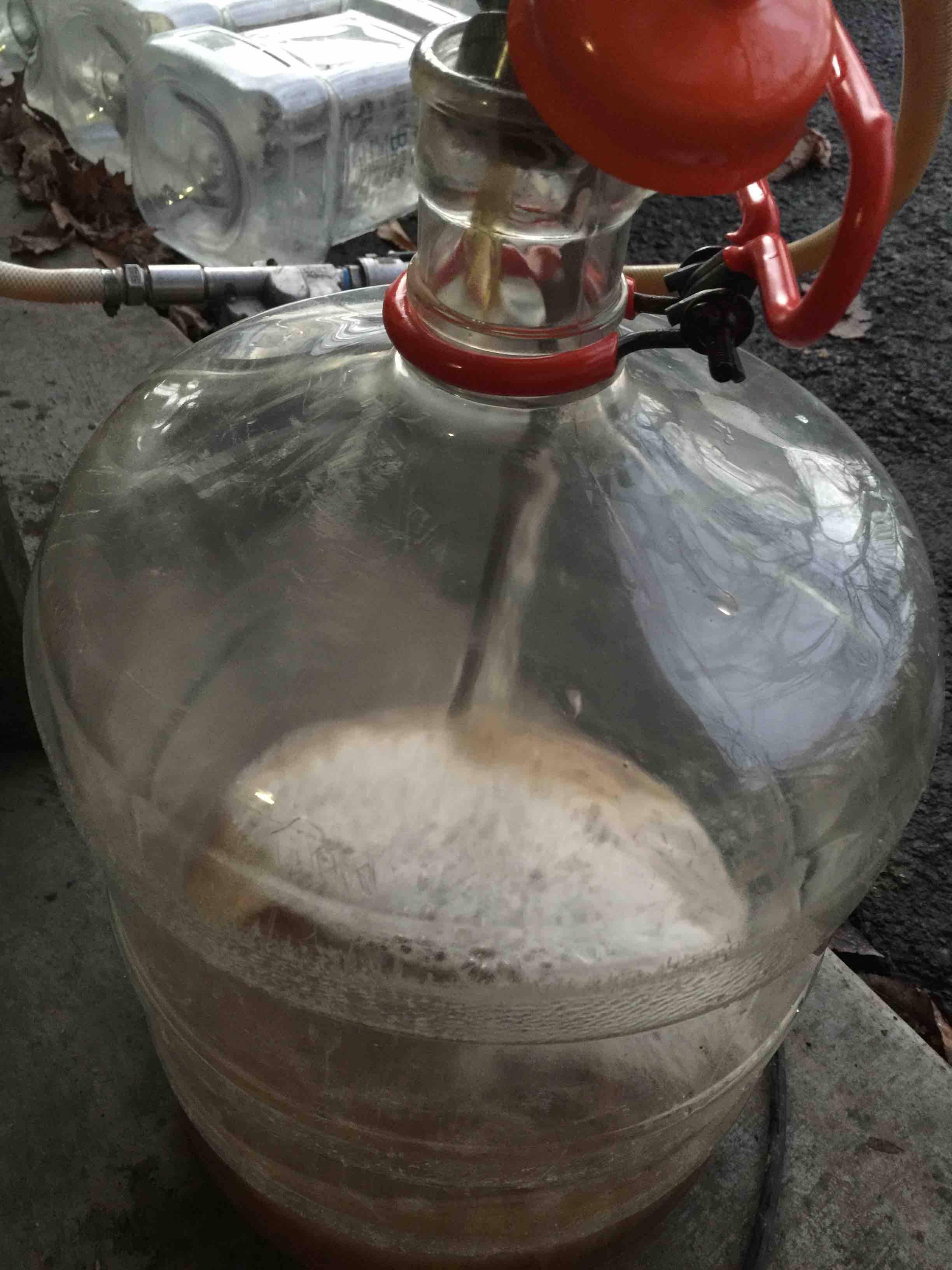 Clear wort.jpg